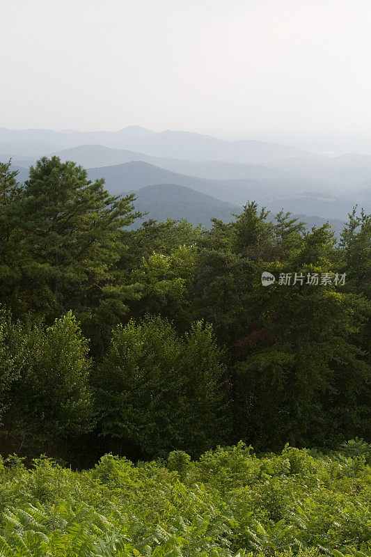 Calf Mtn overlook, Skyline drive, Shenandoah国家公园